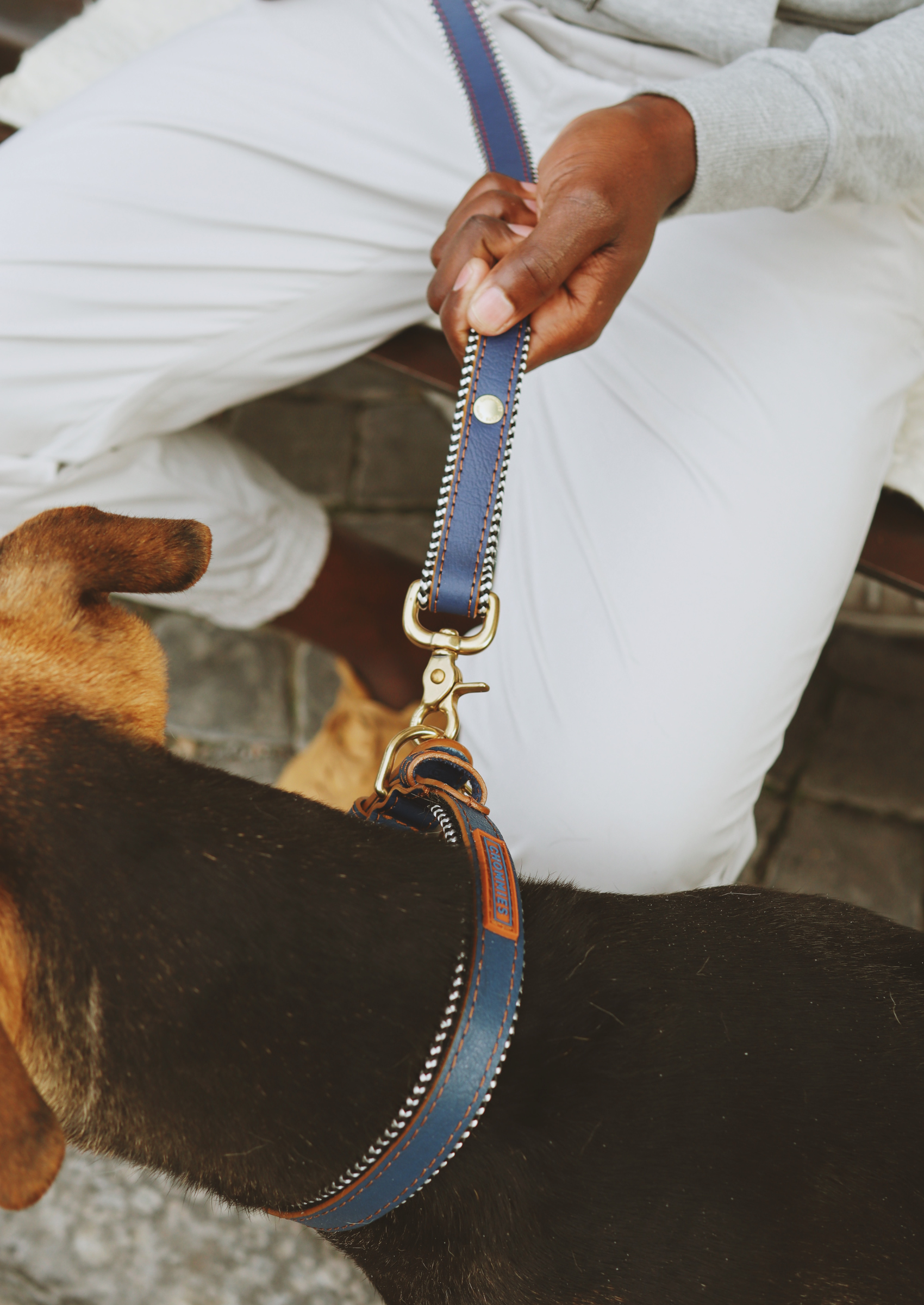 Everyday Leather Dog Leash | Blue Snoop